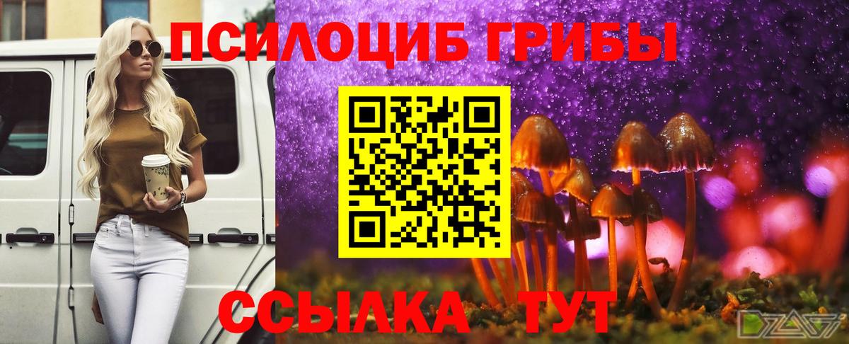 Галлюциногенные грибы Psilocybine cubensis Саяногорск