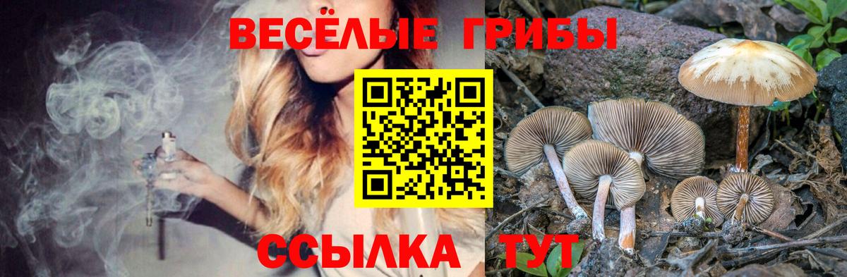Галлюциногенные грибы GOLDEN TEACHER  Вход с VPN  Саяногорск  Галлюциногенные грибы ЛСД 